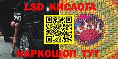 Альфа ПВП Можга