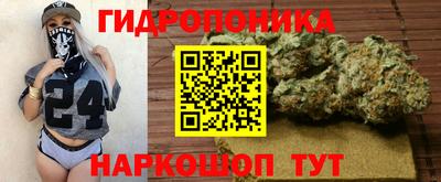 Альфа ПВП Можга