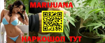 Альфа ПВП Можга