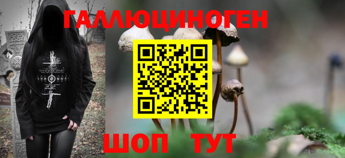 Славянск-на-Кубани  Галлюциногенные грибы Psilocybe  Псилоцибиновые грибы ЛСД  Вход с VPN 